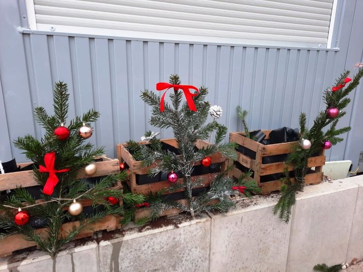 Foto: zum Bepflanzen fertig gemachte Weinkisten mit Weihnachtsdekoration vor einem Schulgebäude
